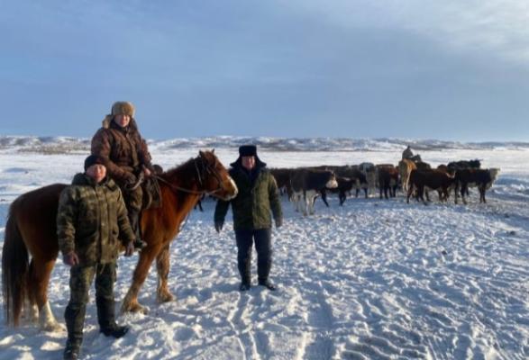 Усть-Каменогорск и ВКО / Ортақ өгізден оңаша бұзау артық Усть-Каменогорск и ВКО / Ортақ өгізден оңаша бұзау артық