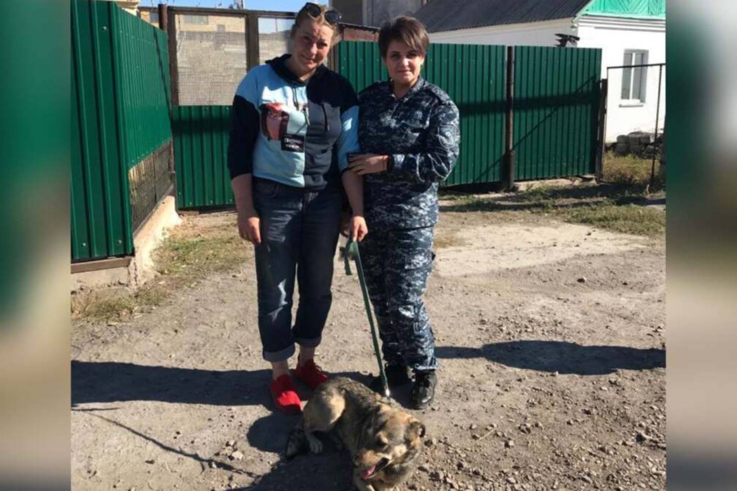 Новости Казахстана / Общество в Казахстане / 28 ударов ножом: раненная живодерами собака обрела хозяйку Новости Казахстана / Общество в Казахстане / 28 ударов ножом: раненная живодерами собака обрела хозяйку
