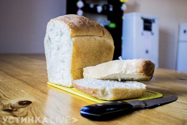 Новости Казахстана / Общество в Казахстане / Лишь хлебом единым... Новости Казахстана / Общество в Казахстане / Лишь хлебом единым...