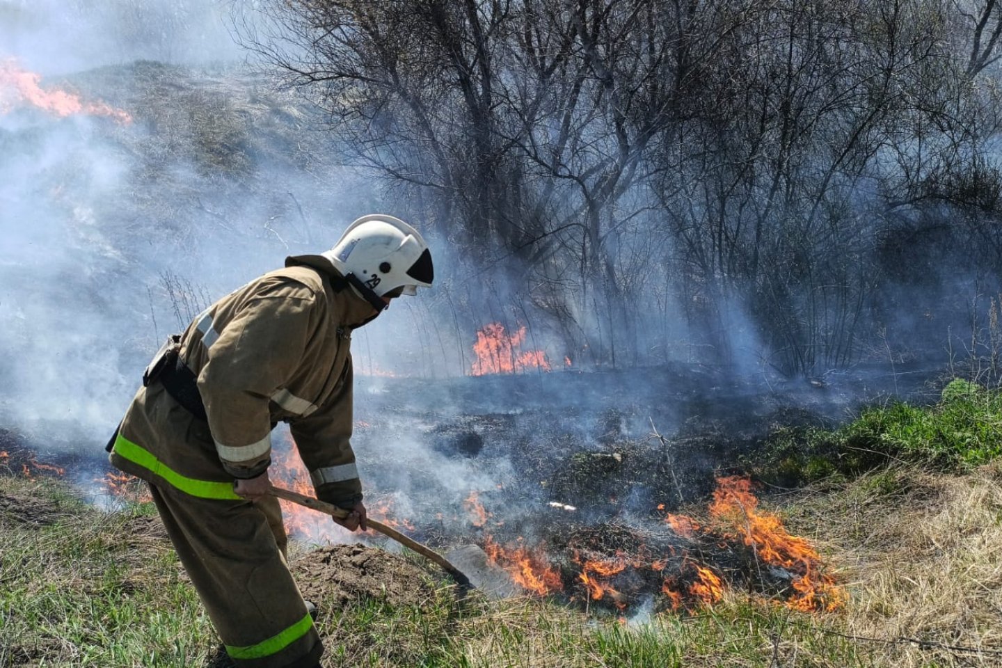 Усть-Каменогорск и ВКО / Пожарные ВКО потушили почти сто возгораний травы и мусора с начала месяца