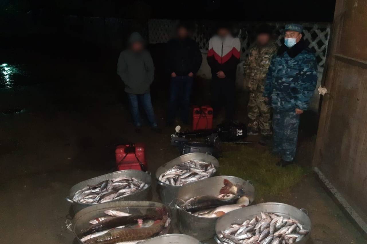 Происшествия в Казахстане и мире / Рыбаков, с двумя центнерами выловленной рыбы, задержали правоохранители в ВКО Происшествия в Казахстане и мире / Рыбаков, с двумя центнерами выловленной рыбы, задержали правоохранители в ВКО