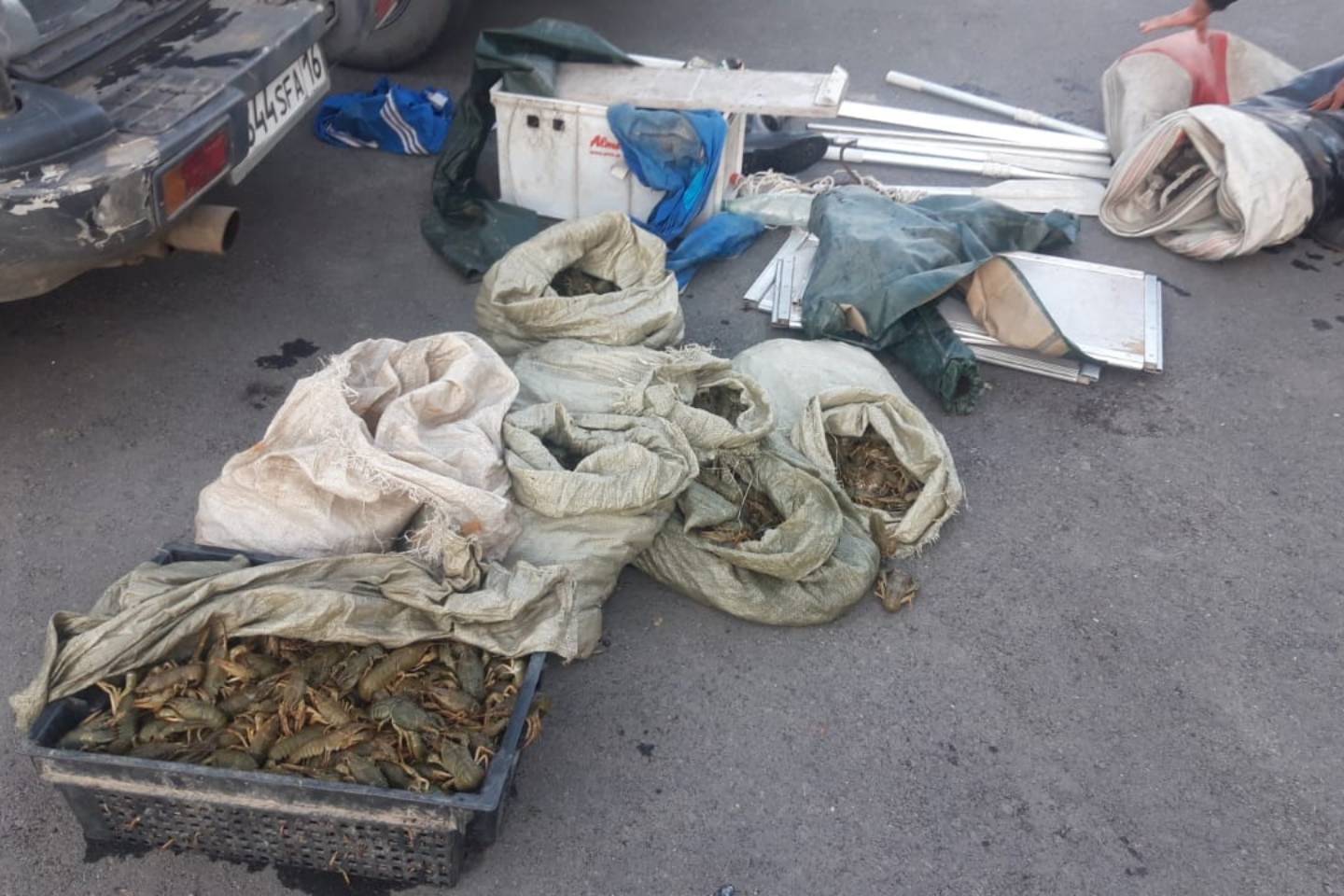 Происшествия в Казахстане и мире / Пять мешков с раками изъяли полицейские у восточноказахстанца Происшествия в Казахстане и мире / Пять мешков с раками изъяли полицейские у восточноказахстанца