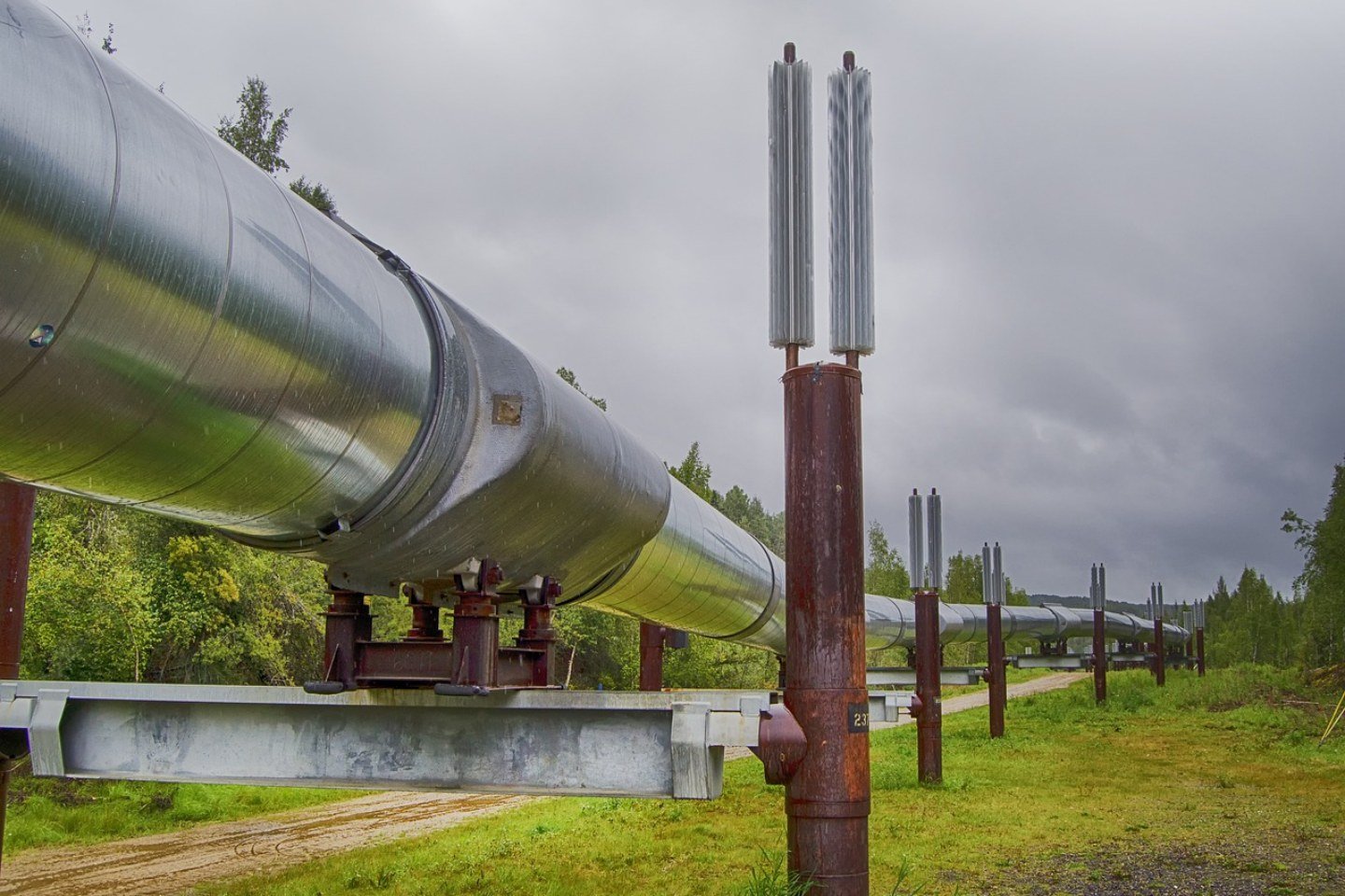 Новости мира / Мировая экономика / Как поломка нефтепровода "Дружба" в Польше скажется на Казахстане? Новости мира / Мировая экономика / Как поломка нефтепровода "Дружба" в Польше скажется на Казахстане?