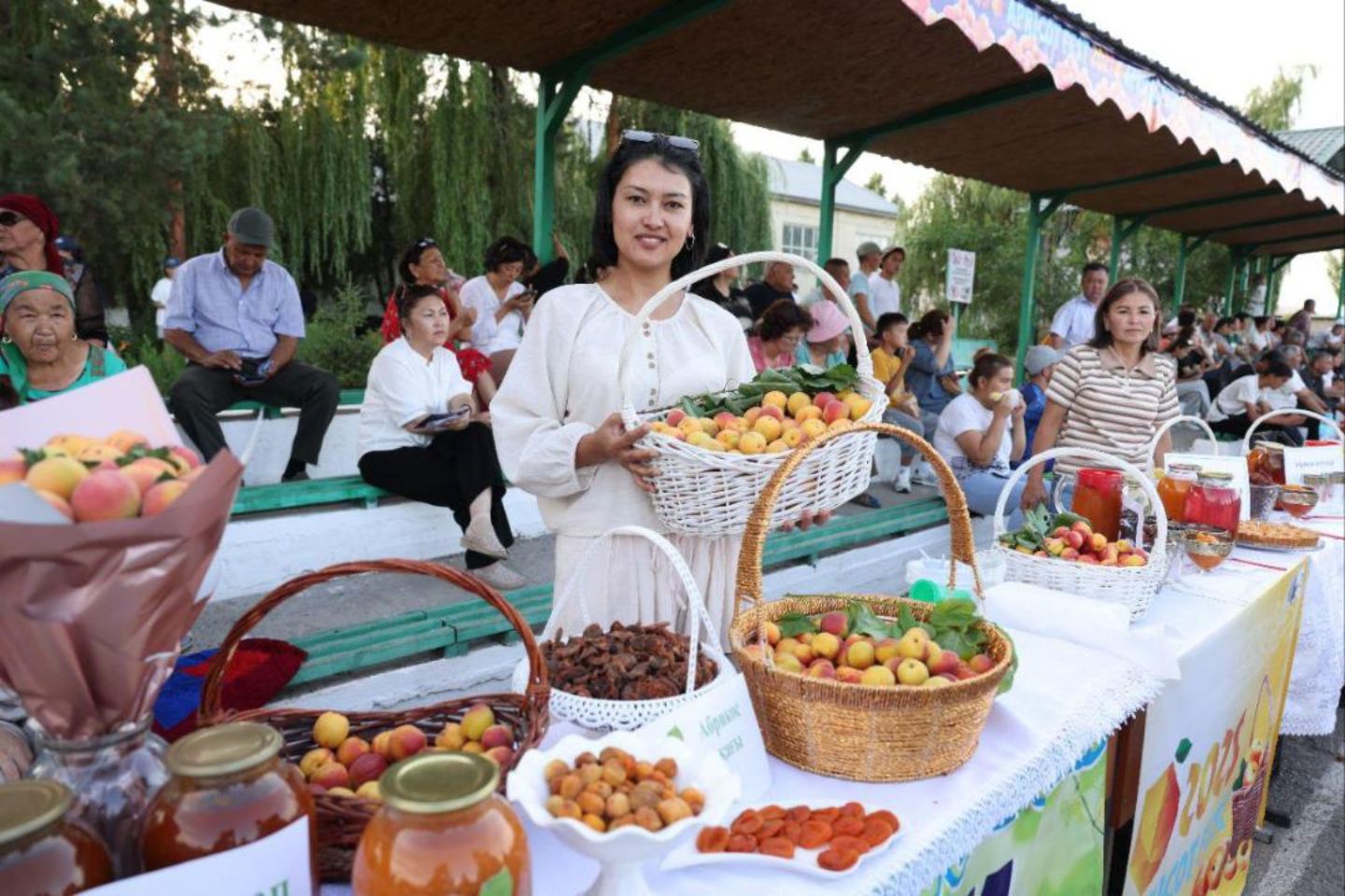 Новости Казахстана / Apricot Fest: абрикос как символ туризма и развития Алматинской области Новости Казахстана / Apricot Fest: абрикос как символ туризма и развития Алматинской области