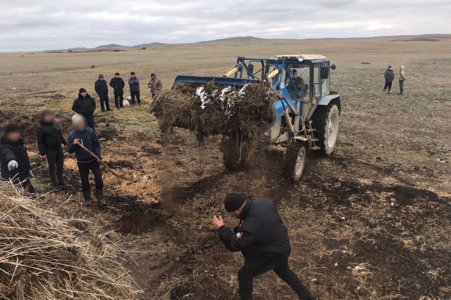 Усть-Каменогорск и ВКО / Задержаны скотокрады, похищавшие лошадей в ВКО Усть-Каменогорск и ВКО / Задержаны скотокрады, похищавшие лошадей в ВКО