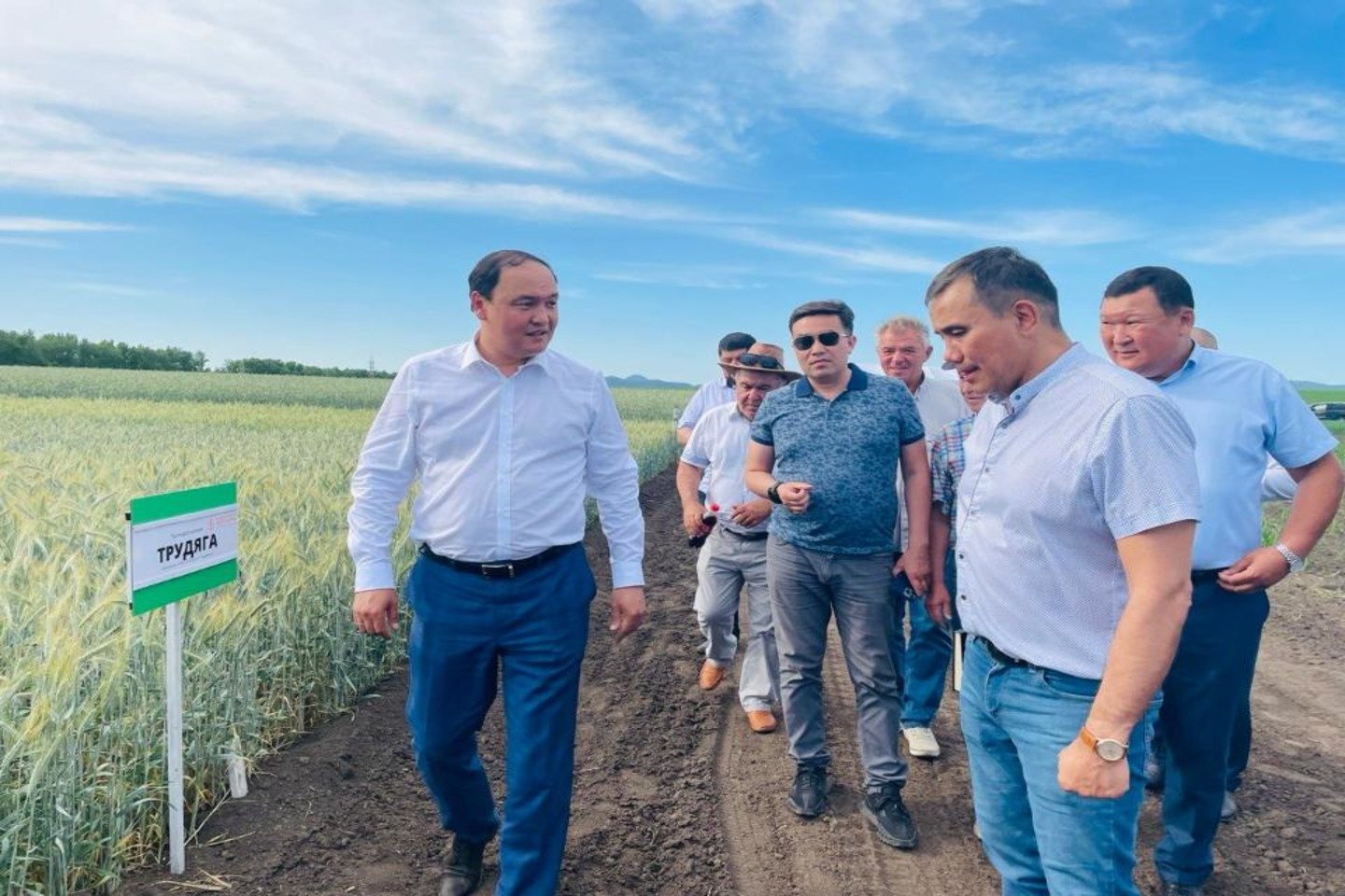Усть-Каменогорск и ВКО / ШҚО-да өсімдік шаруашылығы қарқынды дамуда Усть-Каменогорск и ВКО / ШҚО-да өсімдік шаруашылығы қарқынды дамуда