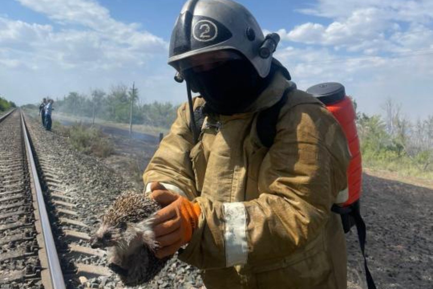 Происшествия в Казахстане и мире / В Актюбинской области пожарные спасли из горящей травы ежика