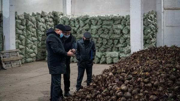 Усть-Каменогорск и ВКО / Бесқарағайлықтарға көкөністі арзан бағада сатады Усть-Каменогорск и ВКО / Бесқарағайлықтарға көкөністі арзан бағада сатады