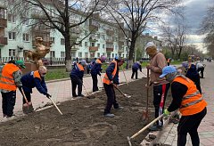 На бульваре Гагарина в Усть-Каменогорске высадят многолетники